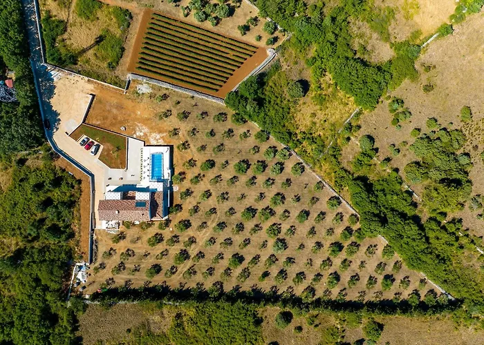 Villa Andamalu With Heated Pool Zaton (Zadar)