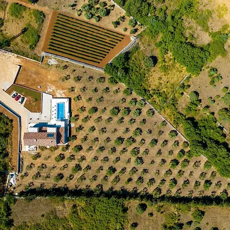 Вилла Andamalu With Heated Pool Затон